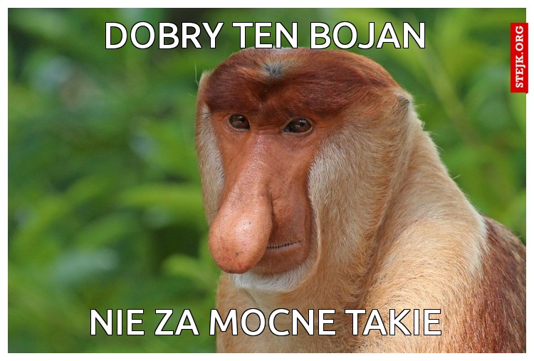 DOBRY TEN BOJAN