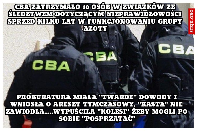 cba zatrzymało 10 osób w związków ze śledztwem dotyczącym nieprawidłowości sprzed kilku lat w funkcjonowaniu Grupy Azoty
