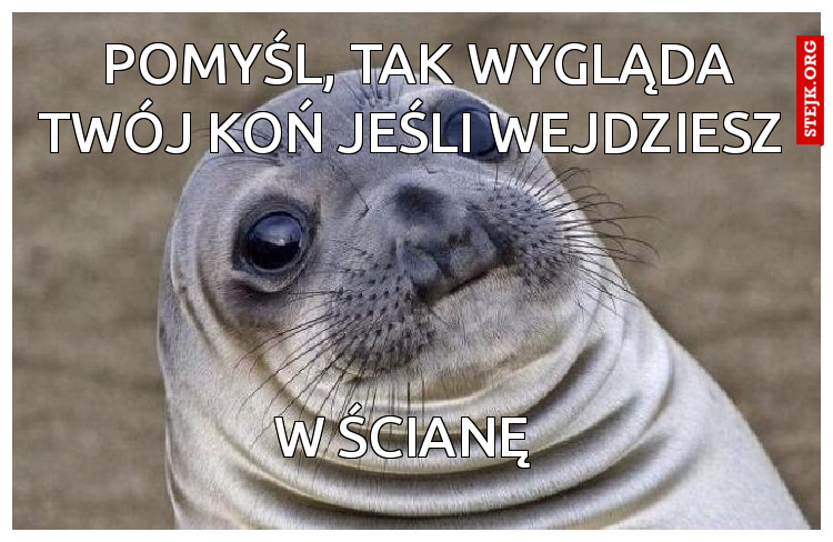 Pomyśl, tak wygląda twój koń jeśli wejdziesz 
