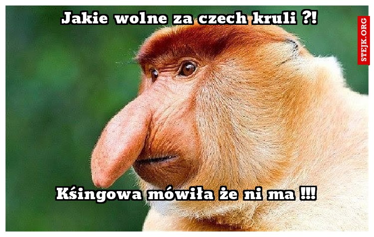 Jakie wolne za czech kruli ?!