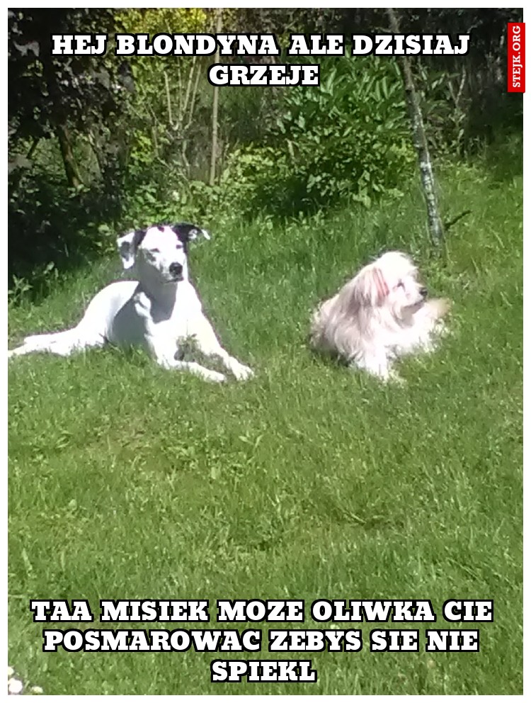 HEJ BLONDYNA ALE DZISIAJ GRZEJE