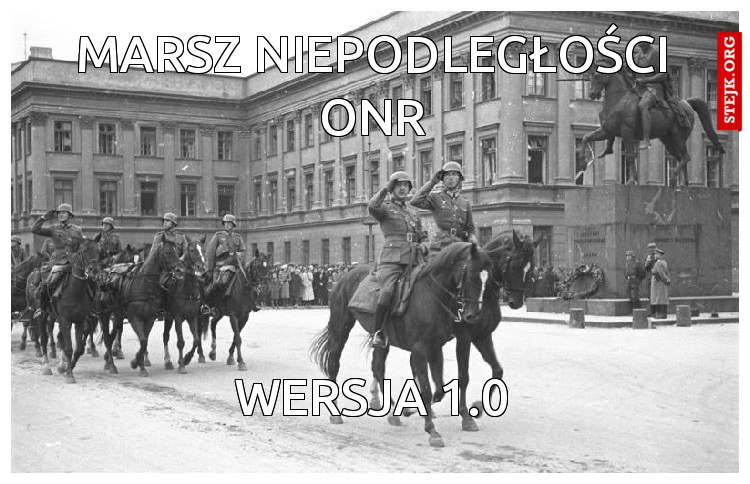 Marsz niepodległości onr