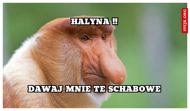 Halyna !!