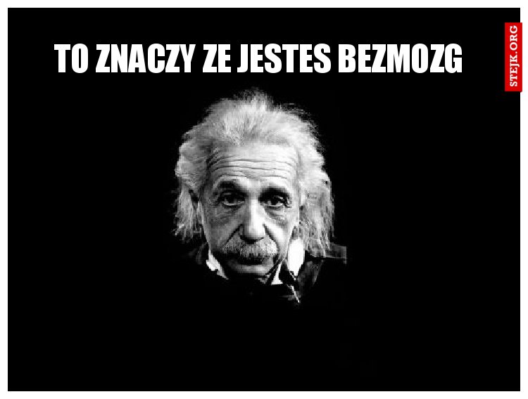 TO ZNACZY ZE JESTES BEZMOZG 