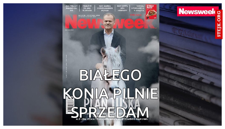 białego konia pilnie sprzedam