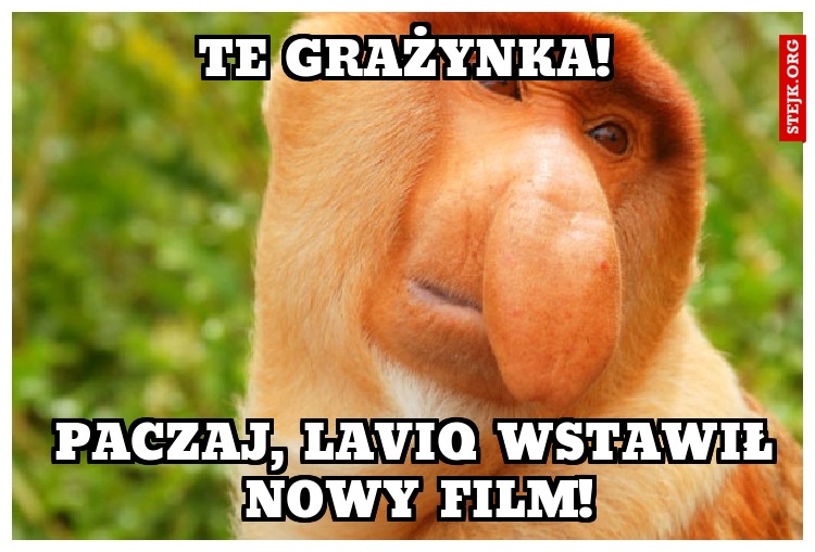 Te Grażynka! 