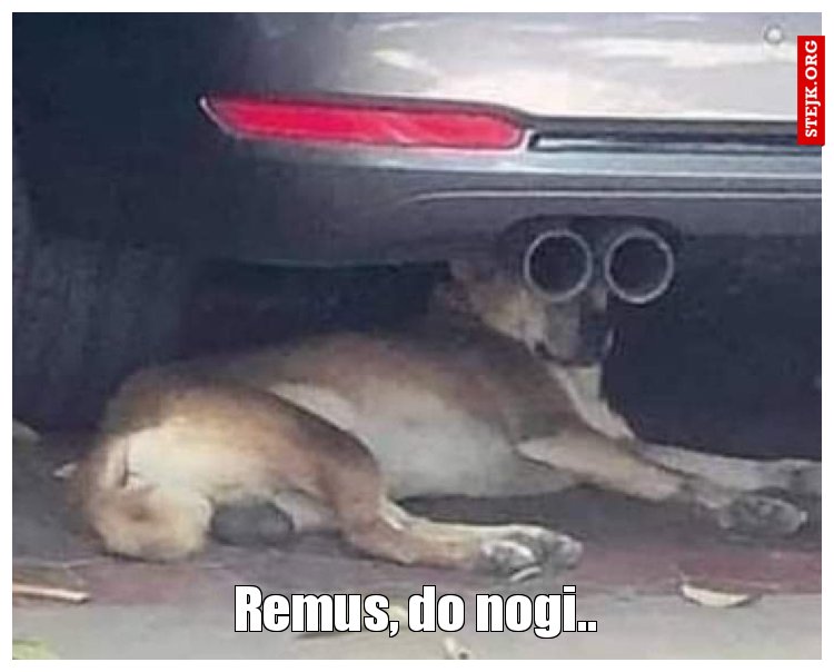 Remus, do nogi..