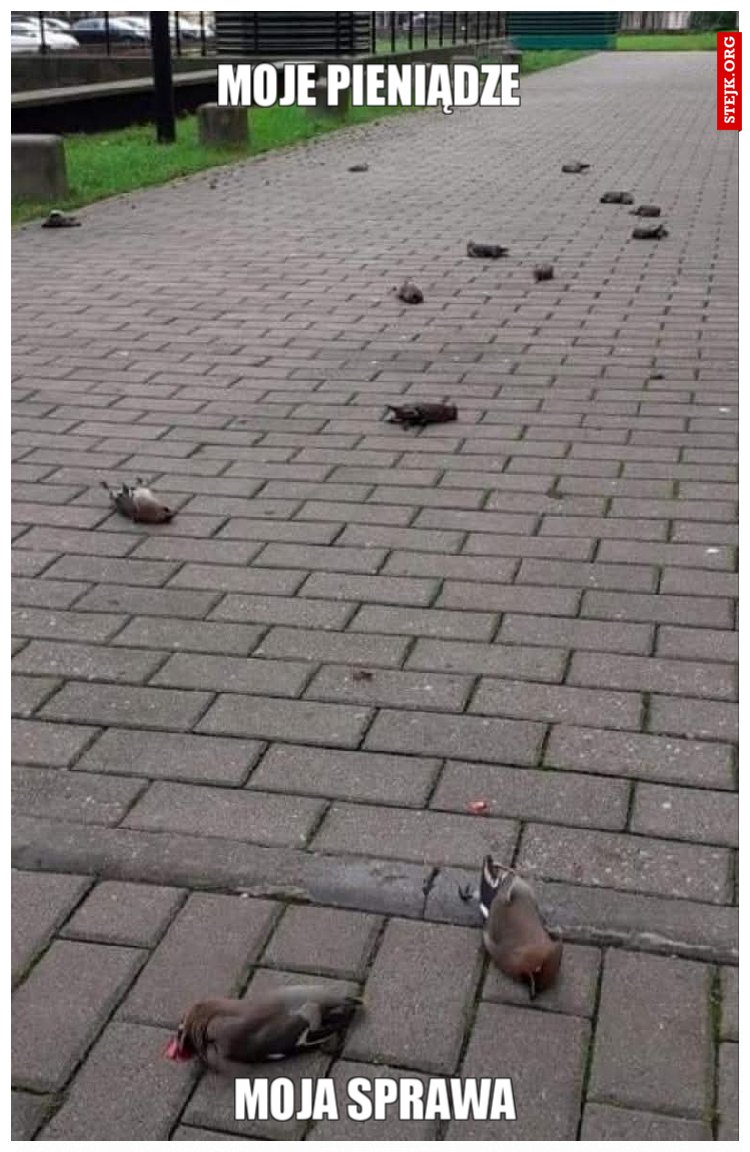 Moje pieniądze 