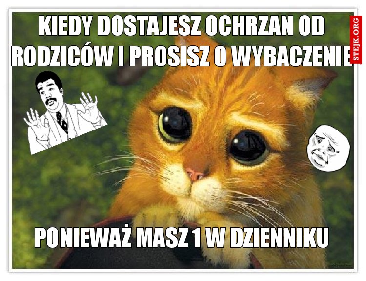 kiedy dostajesz ochrzan od rodziców i prosisz o wybaczenie