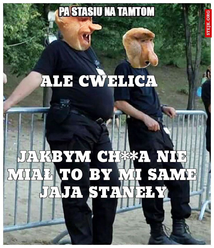 Ale cwelica