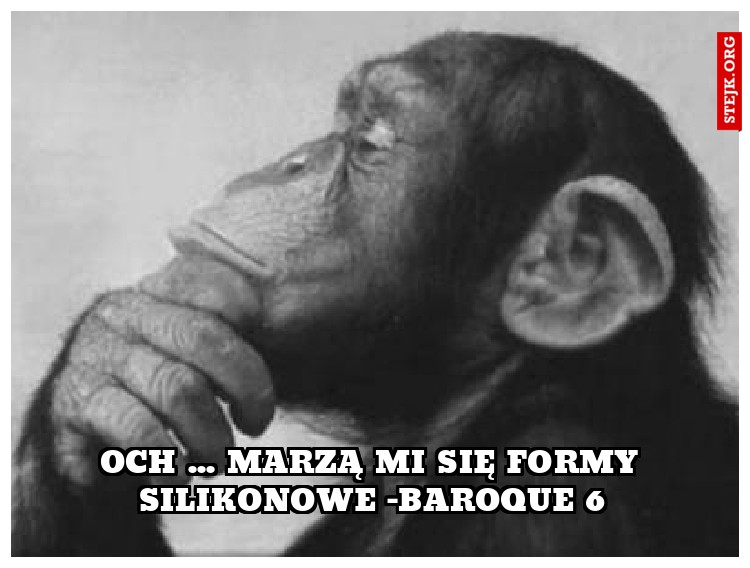 Och ... marzą mi się formy silikonowe -Baroque 6