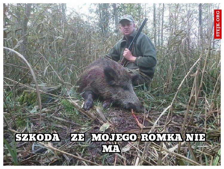 Szkoda   ze  mojego Romka nie ma