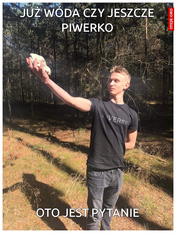 Już wóda czy jeszcze piwerko