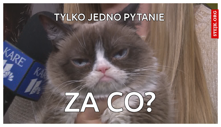 tylko jedno pytanie