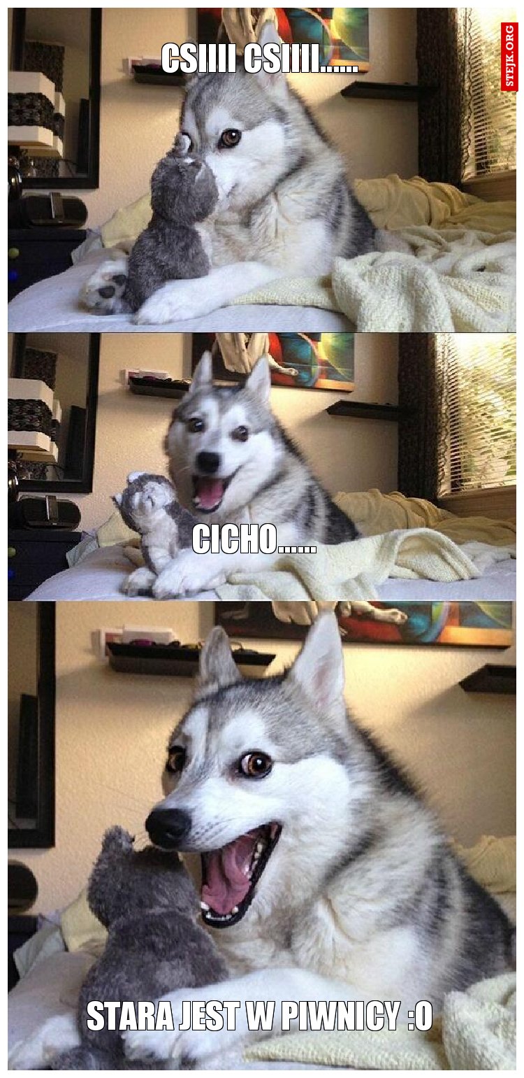 csiiii csiiii......