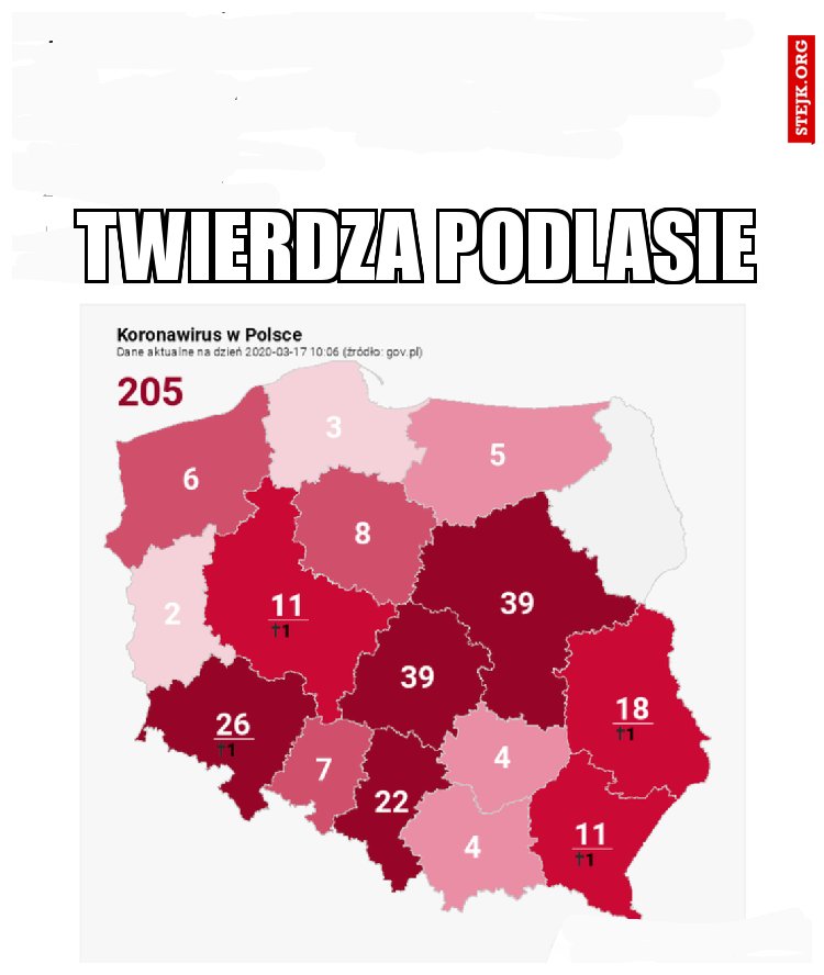 Twierdza podlasie