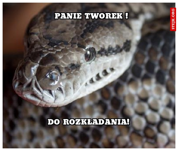 Panie Tworek !