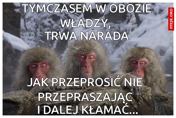 Tymczasem w obozie władzy, 