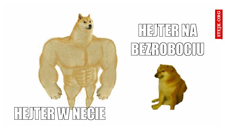 Hejter w necie 