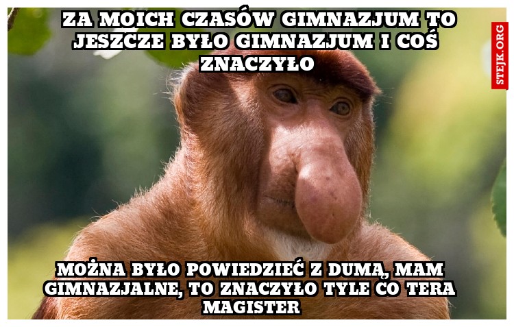  za moich czasów gimnazjum to jeszcze było gimnazjum i coś znaczyło