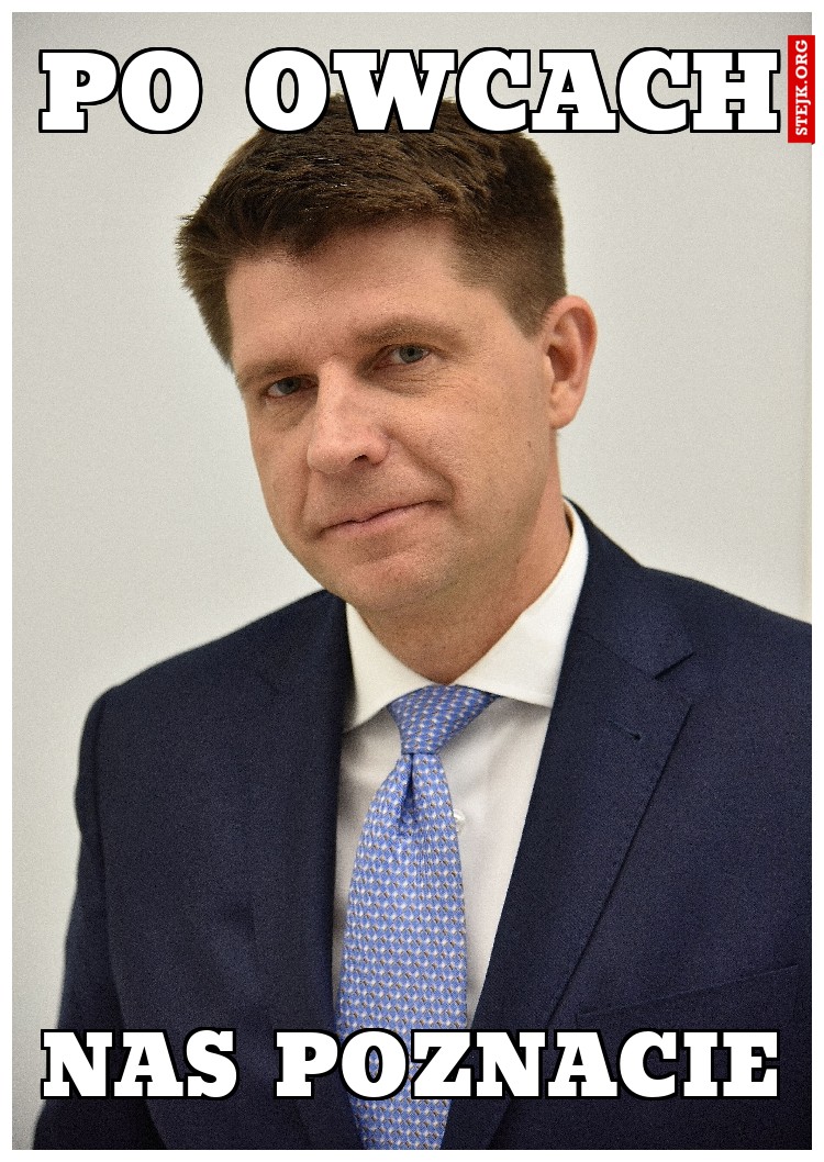 Po owcach