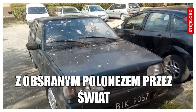 z obsranym polonezem przez świat