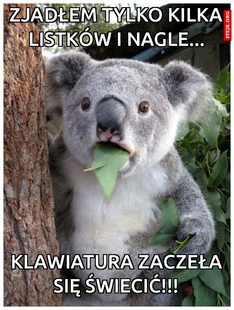 zjadłem tylko kilka listków i nagle...