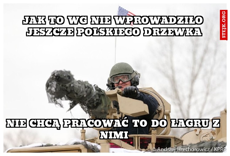 jak to wg nie wprowadziło jeszcze polskiego drzewka
