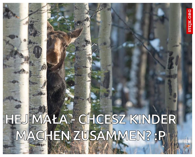 Hej Mała - chcesz kinder machen zusammen? :P