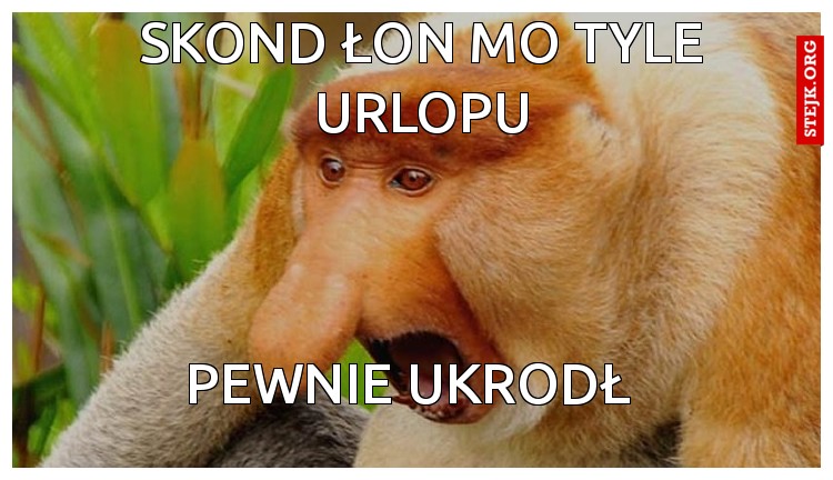 SKOND ŁON MO TYLE URLOPU
