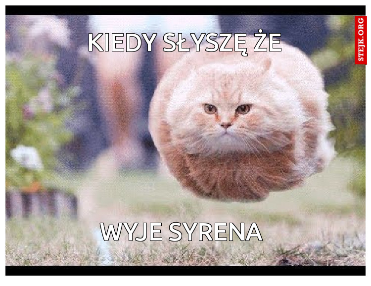 KIEDY SŁYSZĘ ŻE