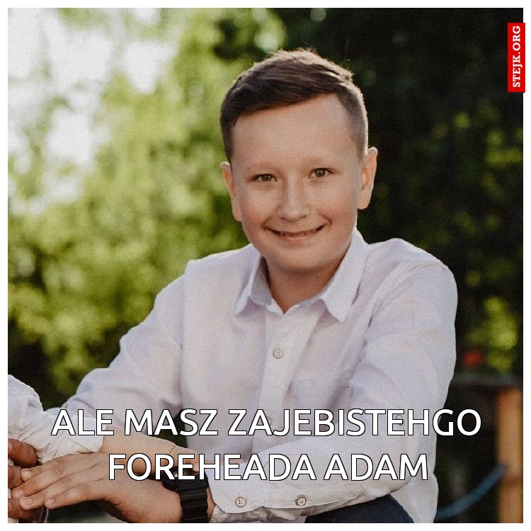 Ale masz zajebistehgo foreheada adam