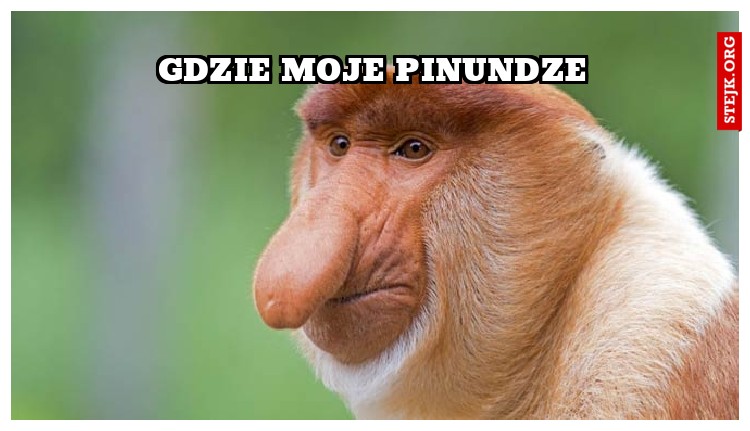 gdzie moje pinundze
