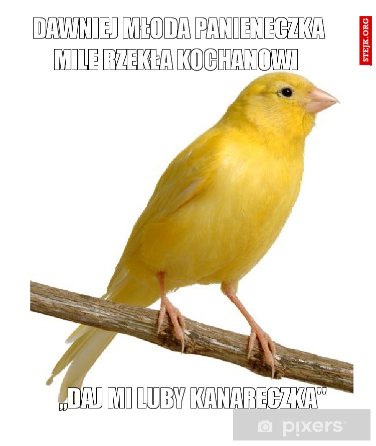 Dawniej młoda panieneczka Mile rzekła kochanowi 