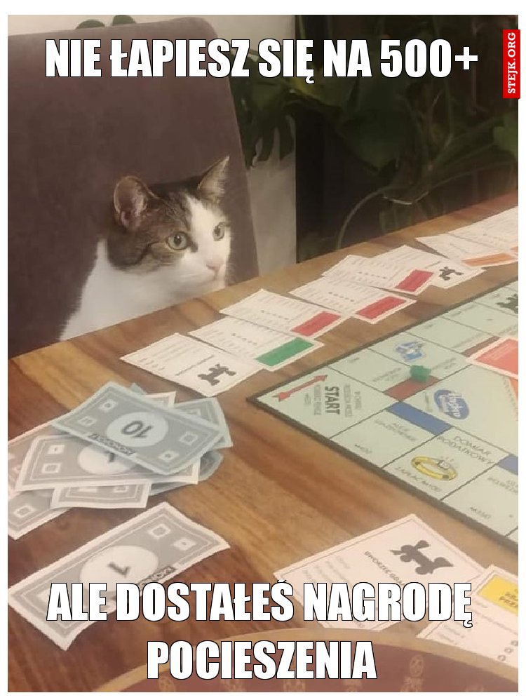 NIE ŁAPIESZ SIĘ NA 500 