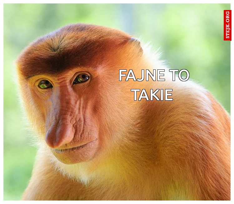 Fajne to takie 