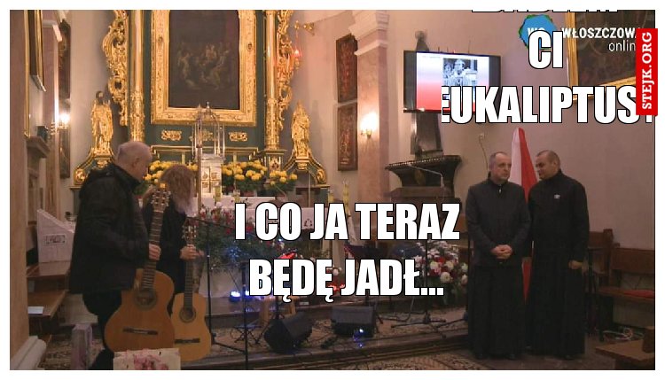 Zjadłem Ci Eukaliptusy 