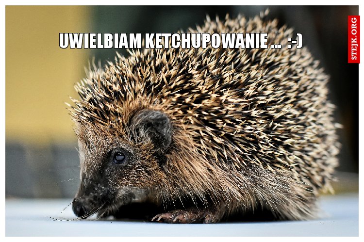 uwielbiam ketchupowanie ...  :-)