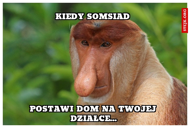 kiedy somsiad