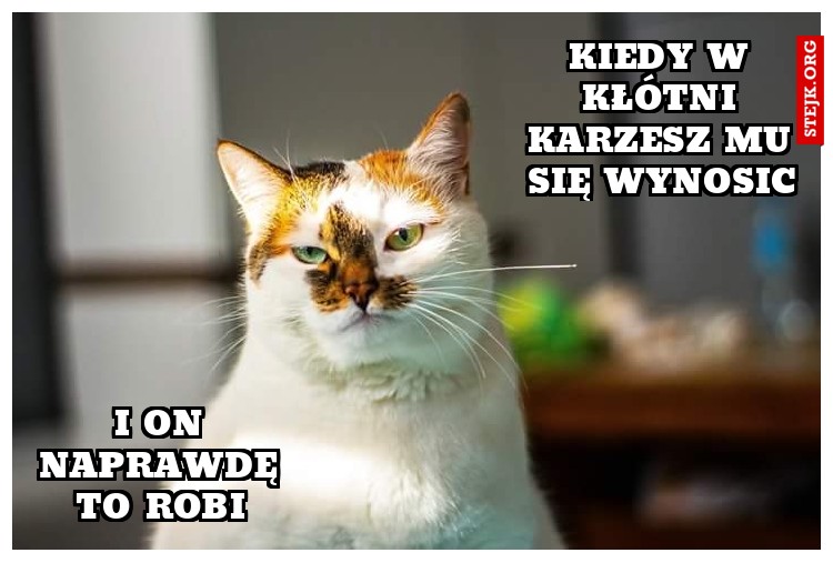Kiedy w kłótni karzesz mu się wynosic
