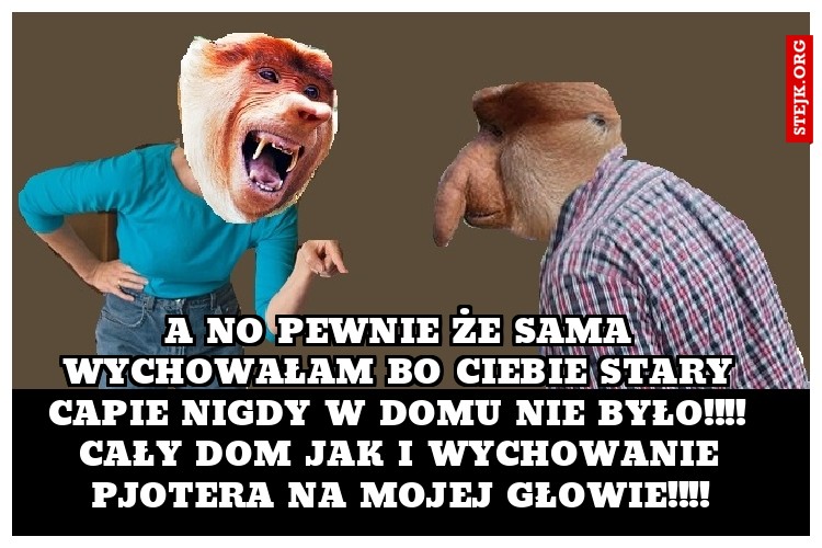 a no pewnie że sama wychowałam bo ciebie stary capie nigdy w domu nie było!!!! cały dom jak i wychowanie pjotera na mojej głowie!!!!