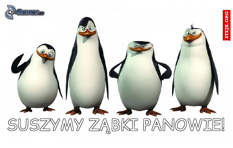 Suszymy ząbki panowie!