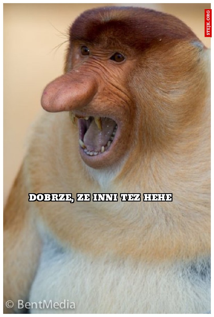 Kurłaaaaaa dzisiaj 0 pkt :(
