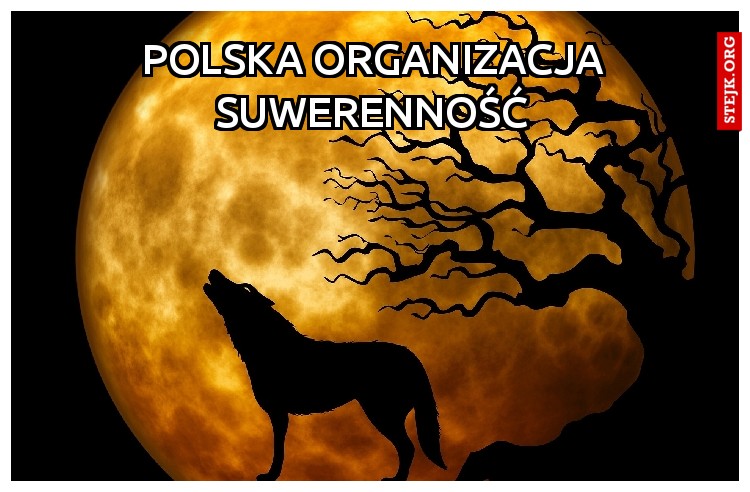 polska organizacja suwerenność