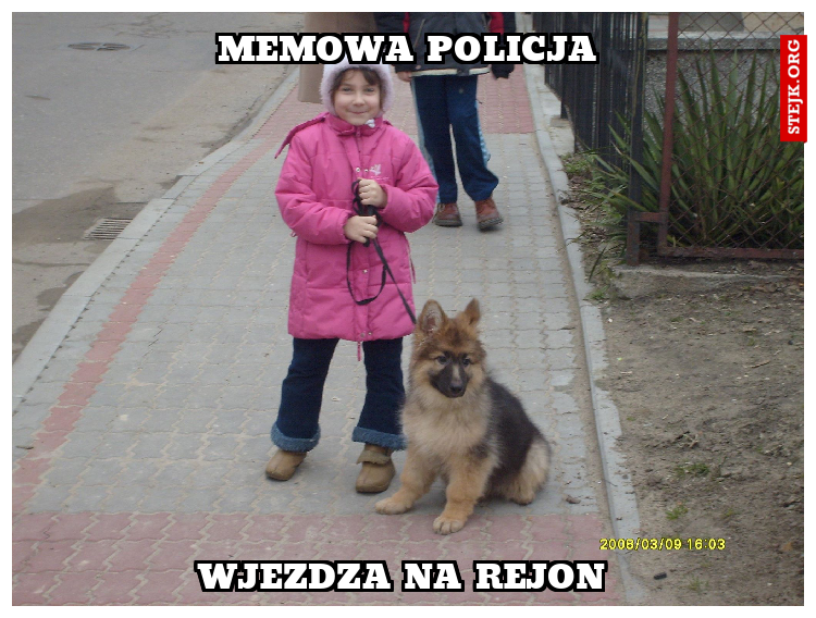 Memowa policja 