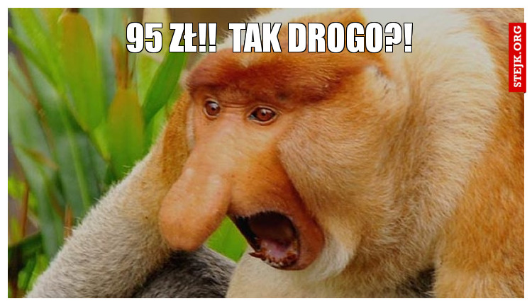 95 zł!!  tak drogo?!