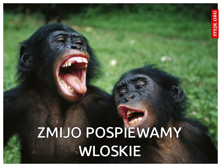 Zmijo pospiewamy wloskie