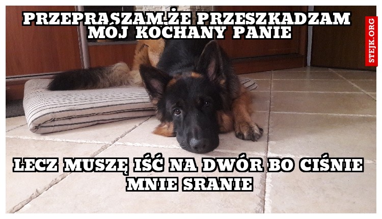 PRZEPRASZAM,ŻE PRZESZKADZAM