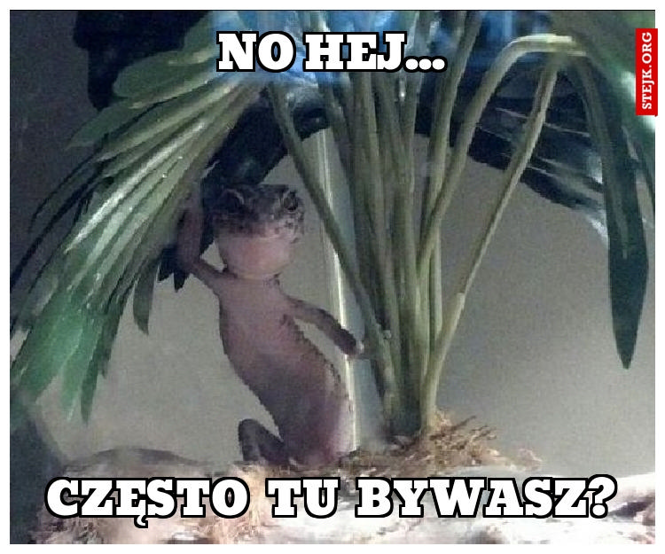 NO HEJ...