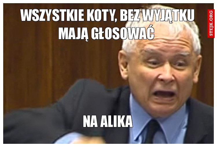 Wszystkie Koty, bez wyjątku mają głosować 